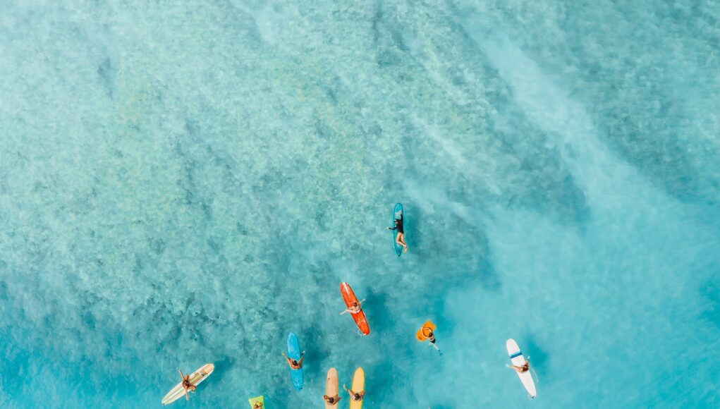 pexels-jess-loiterton-4321188